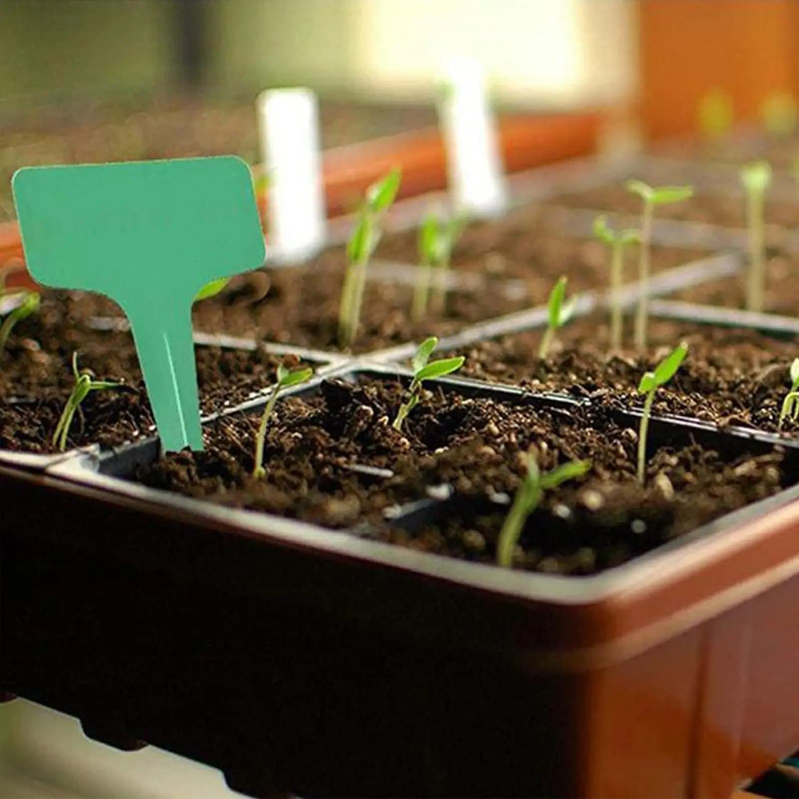Sowing tools with ergonomic anti-slip handle, lettuce locks, vegetables, flowers, garden, farm, verandas