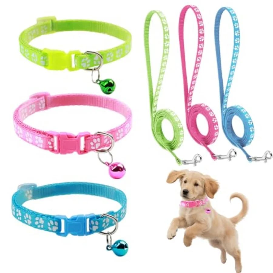 Set collare e guinzaglio per cani 3 pezzi Collare e guinzaglio per cuccioli Stampa zampa Parto Collari identificativi Fibbia Lettiera in nylon morbido Coll regolabile per animali domestici