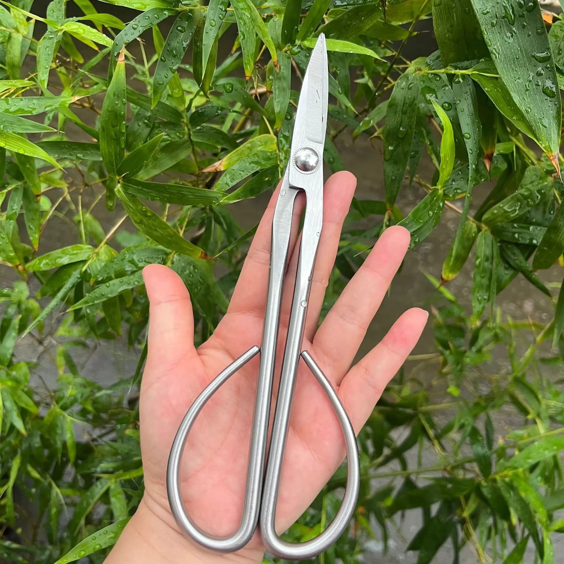 Forbici da Giardino in Acciaio, Attrezzi per Bonsai, Cesoie per Rami, Forbici da Giardinaggio in Acciaio Inox con Manico Allungato per Potatura di Foglie e Germogli