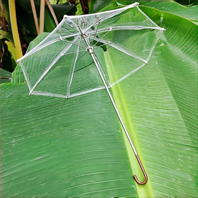 Ombrello Trasparente BJD per Bambole BJD 1/4 (40-47cm) - Accessorio per Fotografia, Cosplay e Travestimenti - Non per Uso Umano
