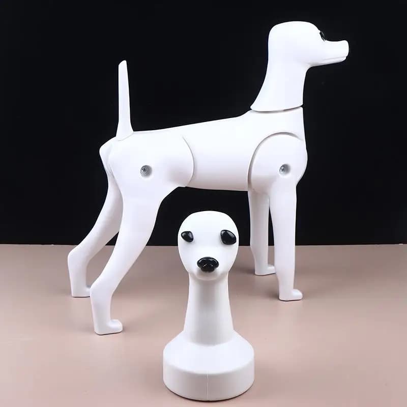 Modello di Cane Poodle Standard a Corpo Intero con Scheletro, per Pratica di Toelettatura e Simulazione del Look del Cane, Ideale per Professionisti del Settore Pet - Offerta Speciale