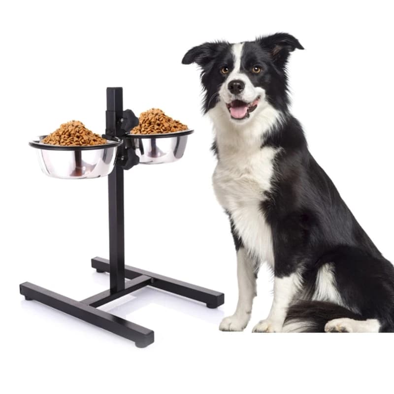 KX4B Ciotole per cani da compagnia in altezza regolabili Ciotole per gatti in acciaio inossidabile Alimentatore per acqua per da