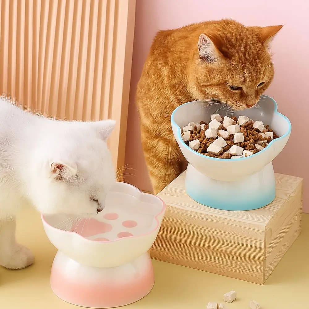 Ciotola per Gatti in Ceramica Alta con Piedini, Inclinata Anti-Ribaltamento, Ciotola per Bere con Motivo a Zampa, Protezione Collo, Ciotola per Cibo per Cani e Gatti