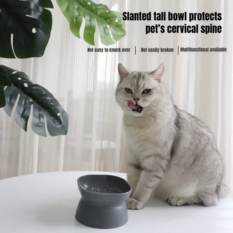 Ciotola per cibo per gatti Piatti per mangiatoia per cani Accessori per l'alimentazione e l'acqua Piatto per animali domestici Piatti per mangiare acqua piccola e media Cucciolo