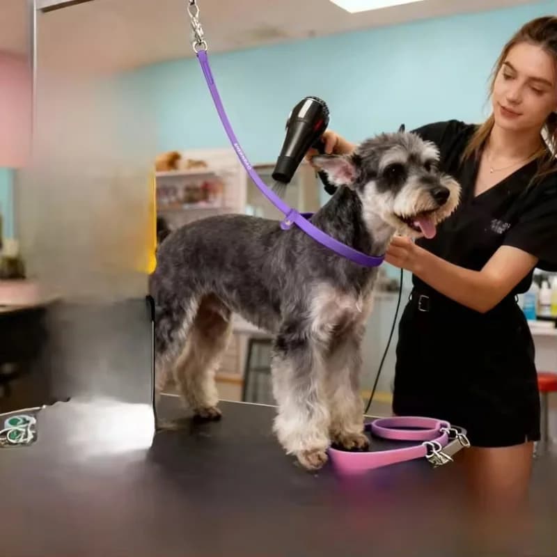Silicone pet strap with adjustable grooming restraint, dog leash, pet hair clipper for table pets, daily grooming supplies