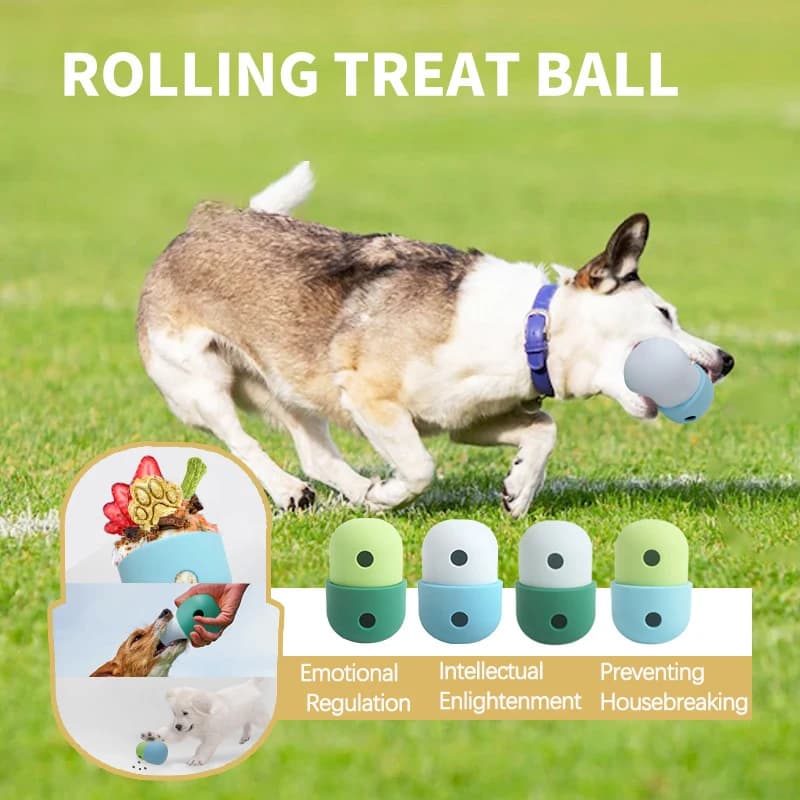 Giocattolo Doy interattivo in silicone multifunzionale Resistente ai morsi Divertimento da lancio Gioco all'aperto Alimentatore lento Ciotola per cani Conservazione degli alimenti per animali domestici