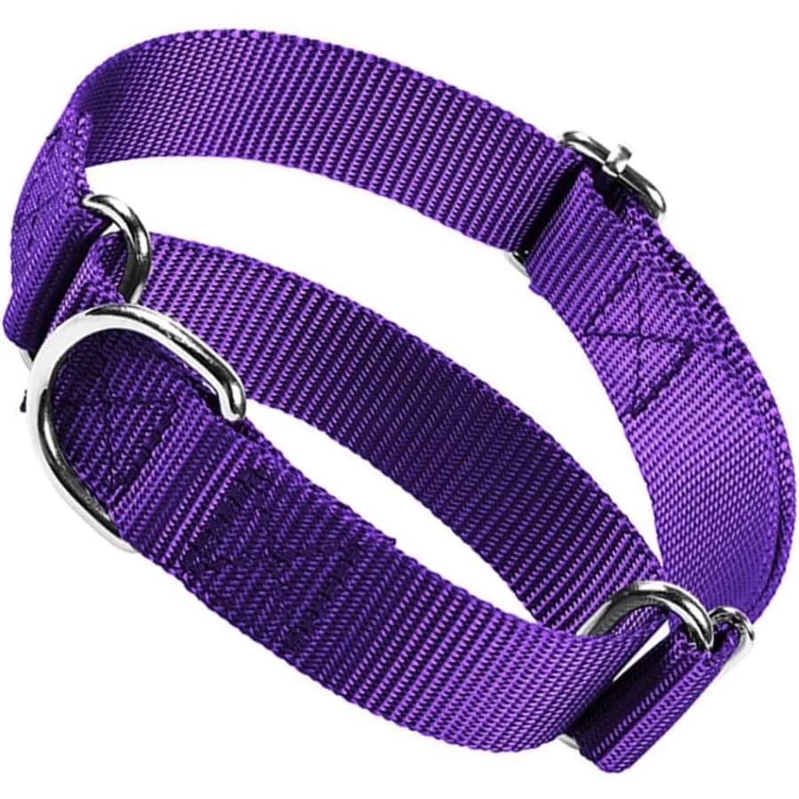 Collare Martingale viola per cani Collare antistrappo per cani Girocollo a prova di fuga Collari per animali domestici con cinch per piccoli e medi