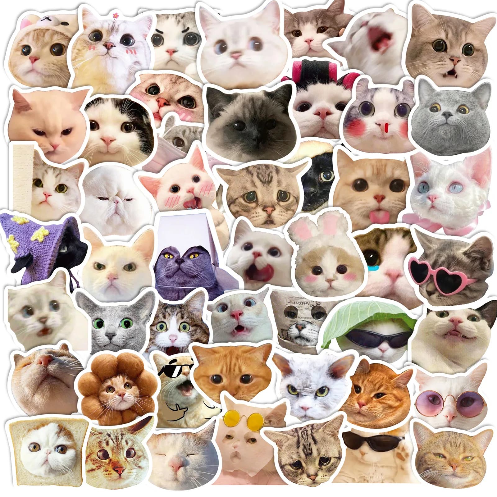 50 pezzi simpatico gatto MEME animali dei cartoni animati adesivi graffiti telefono fai da te chitarra laptop notebook valigia tazza adesivo impermeabile giocattolo per bambini
