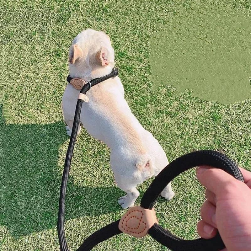Guinzaglio e Pettorina Regolabili per Cani, in Nylon, Resistente, Leggero, Accessori per Cani e Gatti