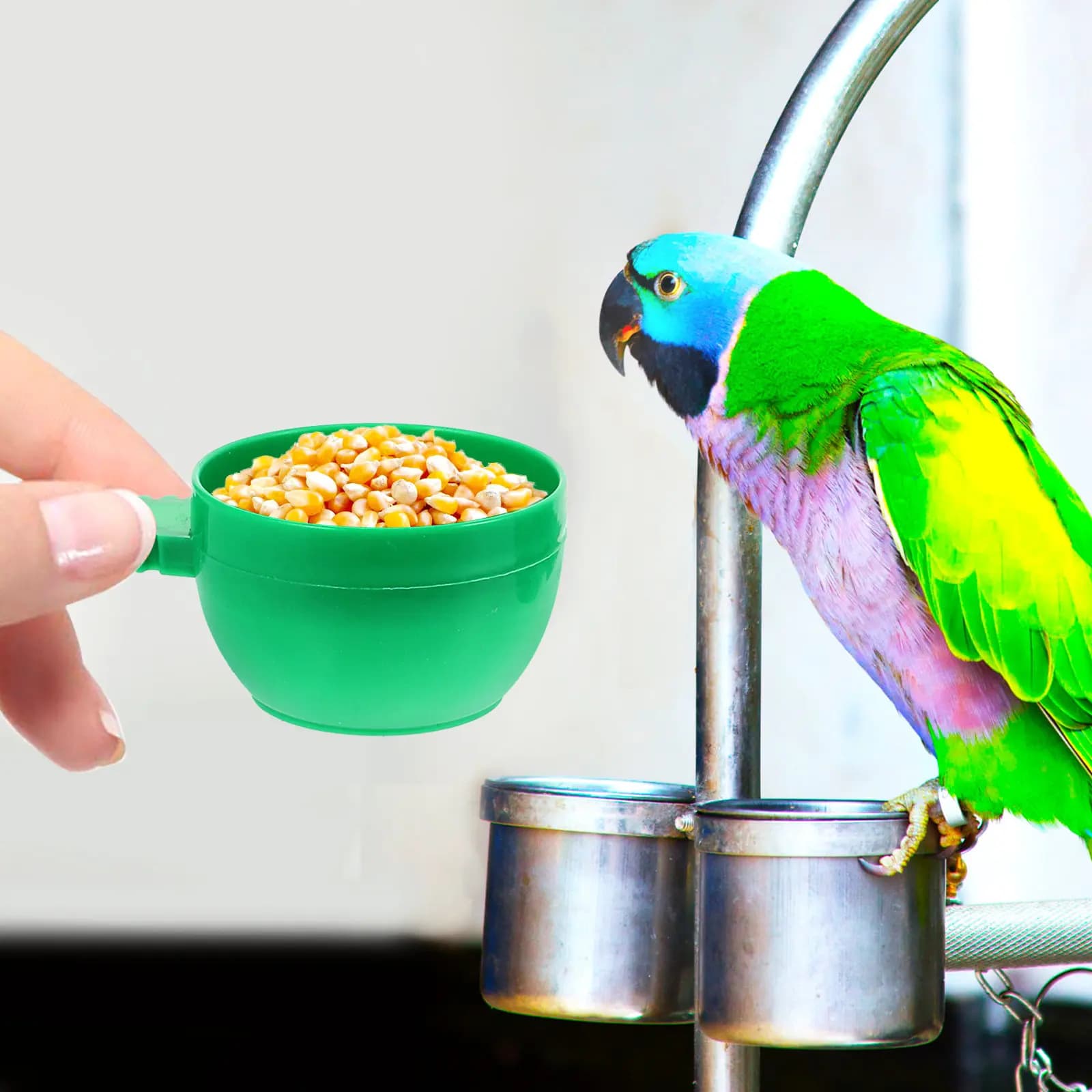 Set di 36 Mangiatoie per Uccelli in Plastica, Ciotole per Gabbie, Contenitori per Cibo e Acqua per Pappagalli e Piccoli Uccelli