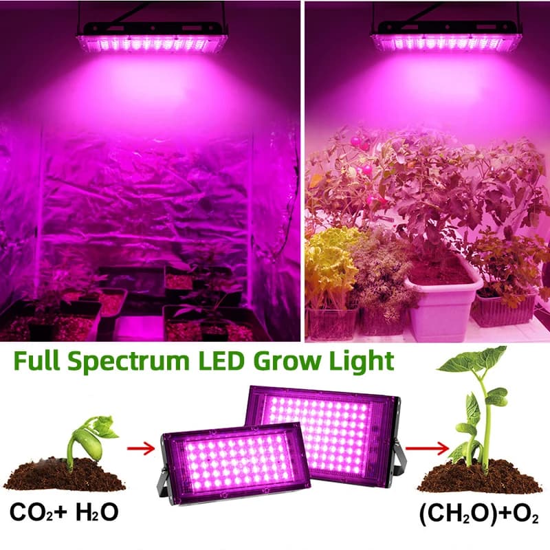 AC220V 50/100/200/300W full spectrum LED plant cultivation light with greenhouse hydroponic plant switch, flower seeds, growth light