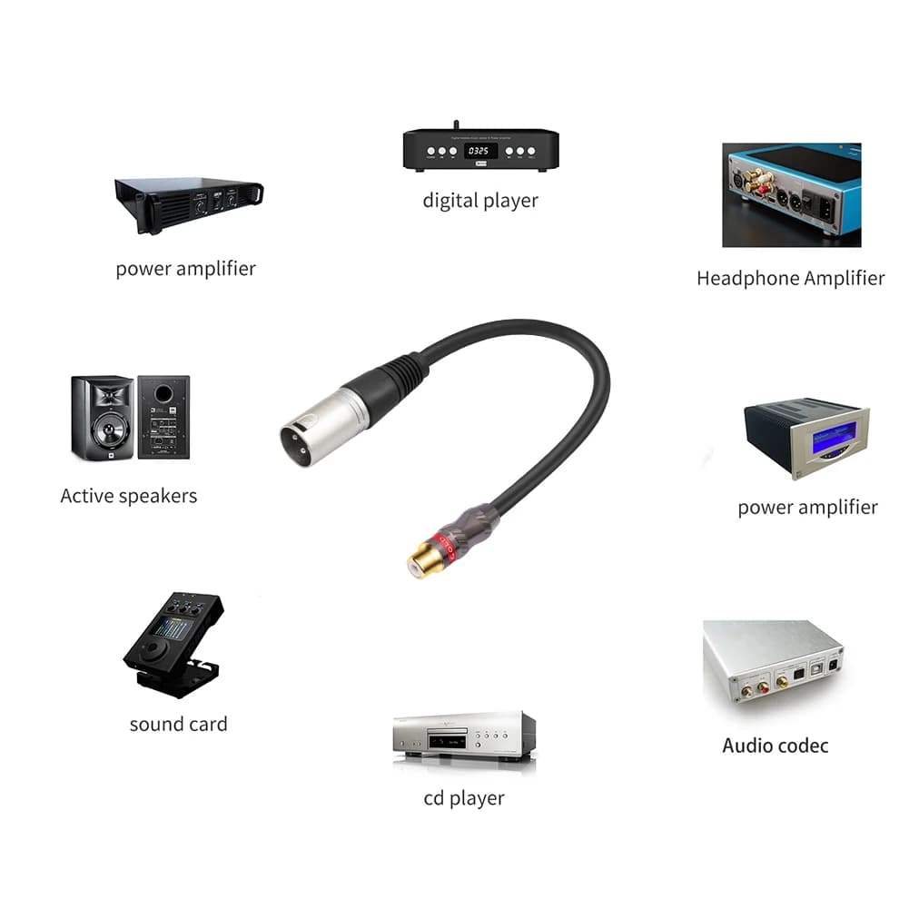 Cavo adattatore RCA femmina a 3Pin-XLR maschio da 0,3 m Cavo adattatore RCA femmina a 3Pin-XLR maschio per amplificatori per altoparlanti