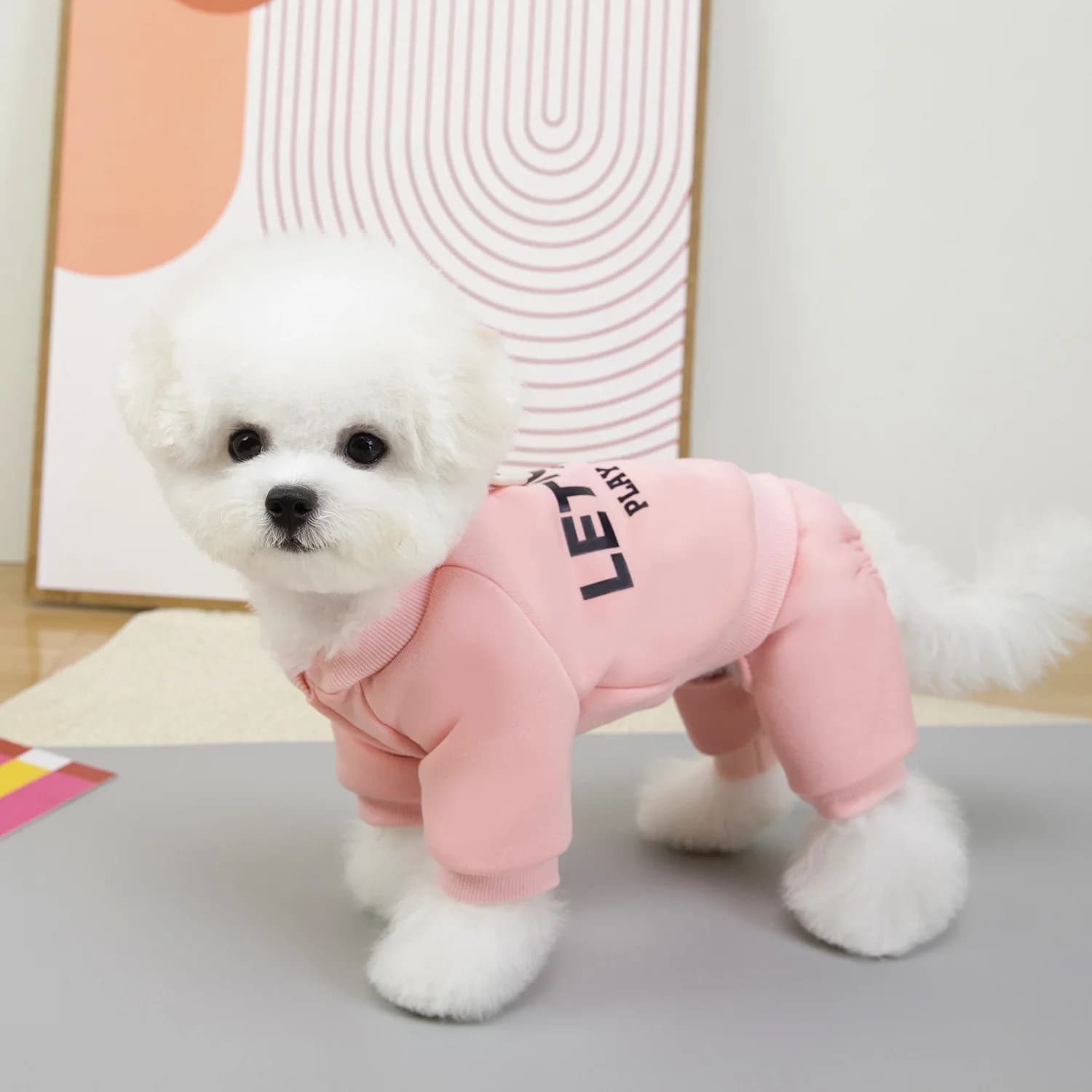 Pet clothes dog clothes pet clothes autumn and winter pet four legged clothes fluffy clothes dynamic four legged hoodie