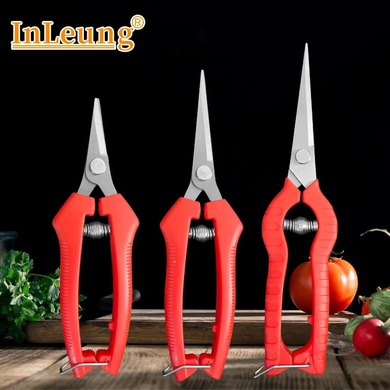 Stainless steel pruning shears Harvesting scissors Kiwi pears Scissors for fruit harvesting Tools