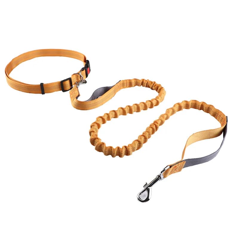 Pet leash Running leash, retractable dog leash, dog walking pet supplies