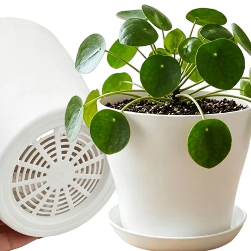 Plant Pot Set with Drainage Holes and Matching Tray PP Resin Colorful Planter for Indoor Succulent Cactus Herb Garden Windowsill