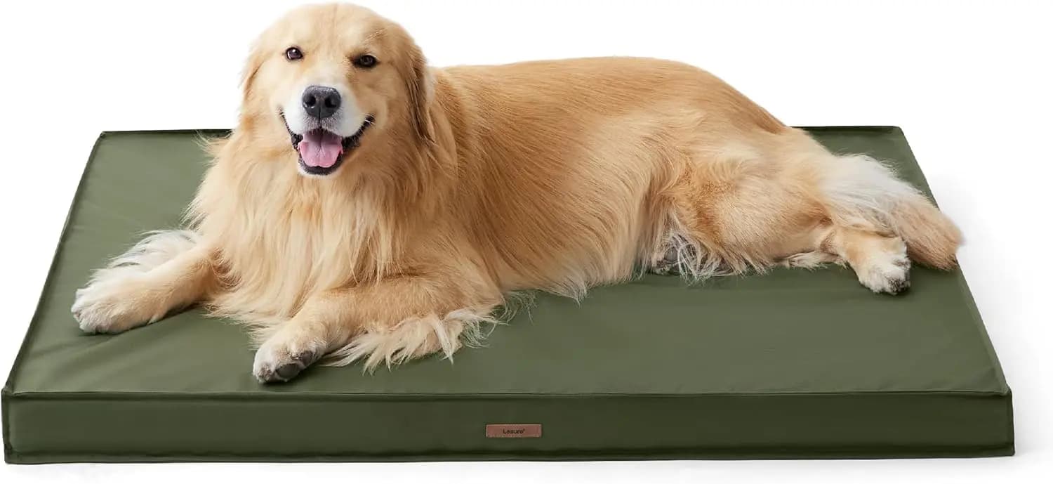 Cuccia Ortopedica XL per Cani in Schiuma a Nido d'Ape, Tessuto Oxford Impermeabile, Rivestimento Rimovibile e Lavabile, Verde 44''x32''