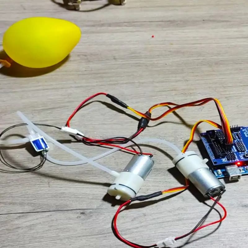 Simula palloncini gonfiati e inalati braccio Robot ventosa sottovuoto per Arduino braccio meccanico pinza artiglio pompa di aspirazione