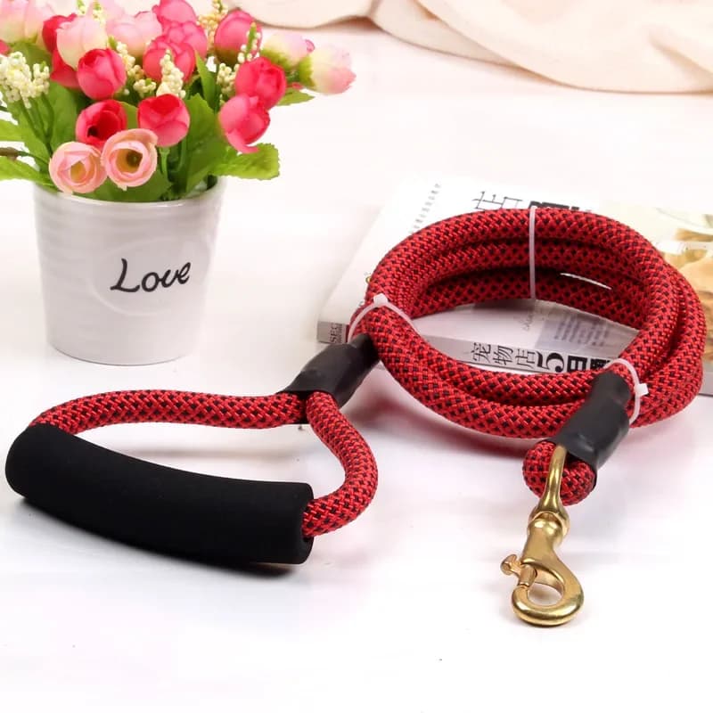 Chew Resistant Climbing Rope Dog Leash with Brass Hook Pet Walking Lead for Large Dogs