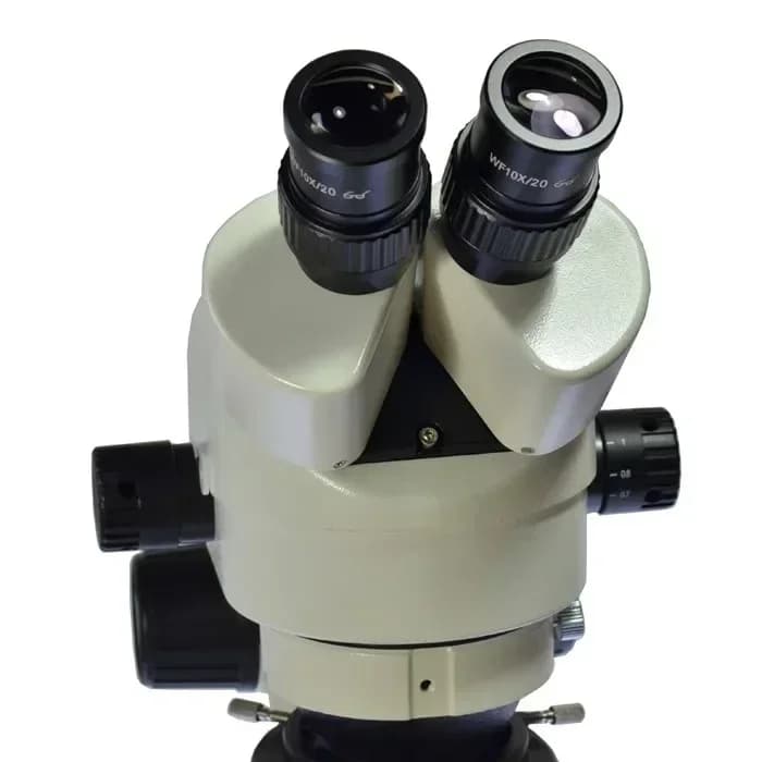 Testa per microscopio stereo rinoculare Simul-Focale 7X-45X Zoom continuo WF10X/20 Oculare Obiettivo ausiliario L