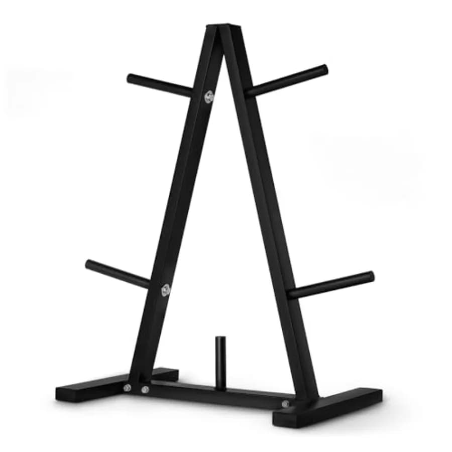Support for Weights and Basic Plates for Gym, Steel Structure, Black Finish, Organize with Efficiency Manubri and Plates