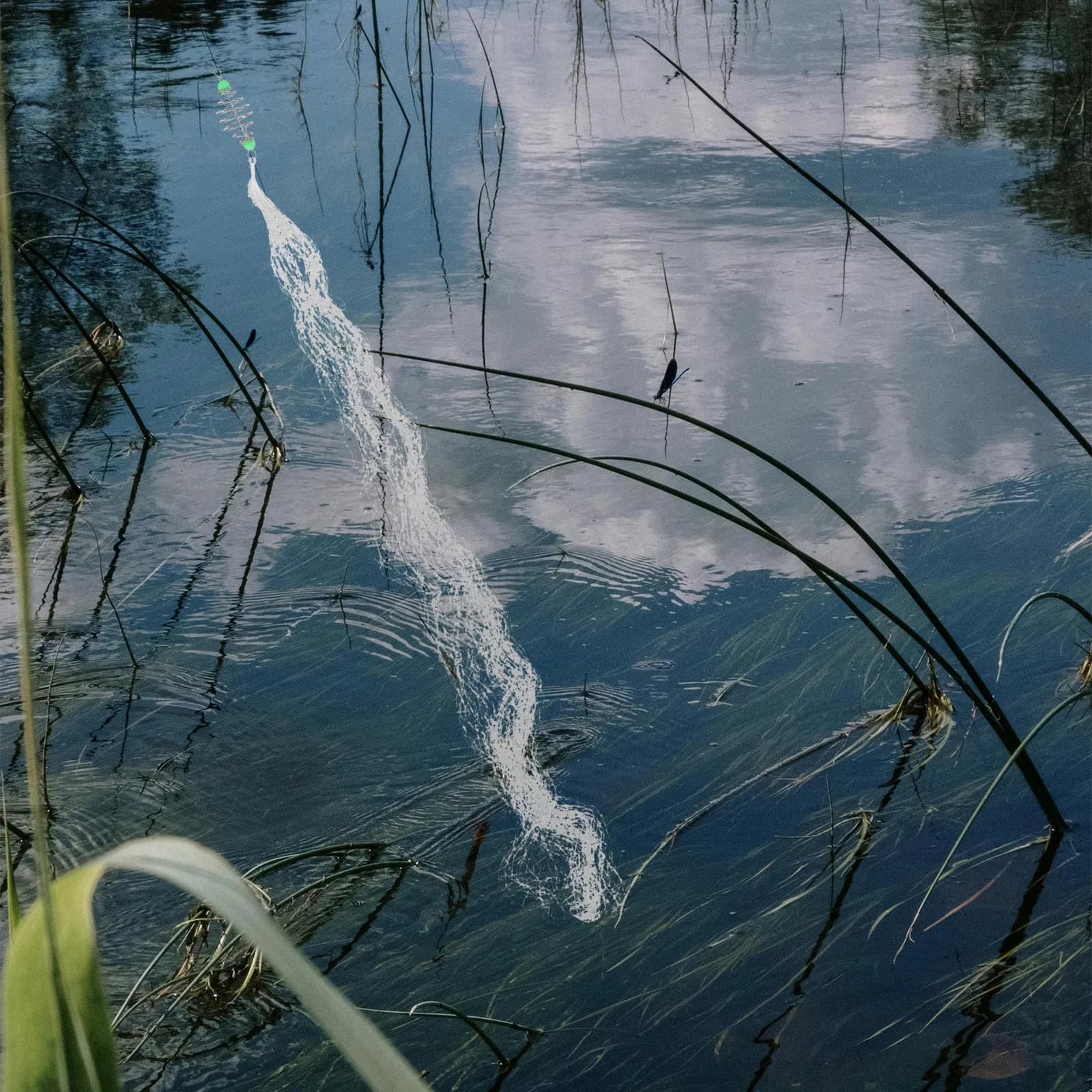 Rete di Ricambio per Pesca a 5 Maglie, Rete Premium per Canna da Pesca, Sicura e Pratica, Rete per Trappola Esche