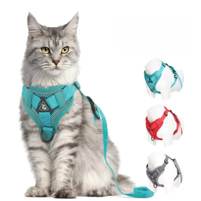 Pettorina per collare per cani e gatti Guinzaglio traspirante a prova di fuga per passeggiate all'aperto Guinzaglio riflettente per cani da compagnia di facile controllo