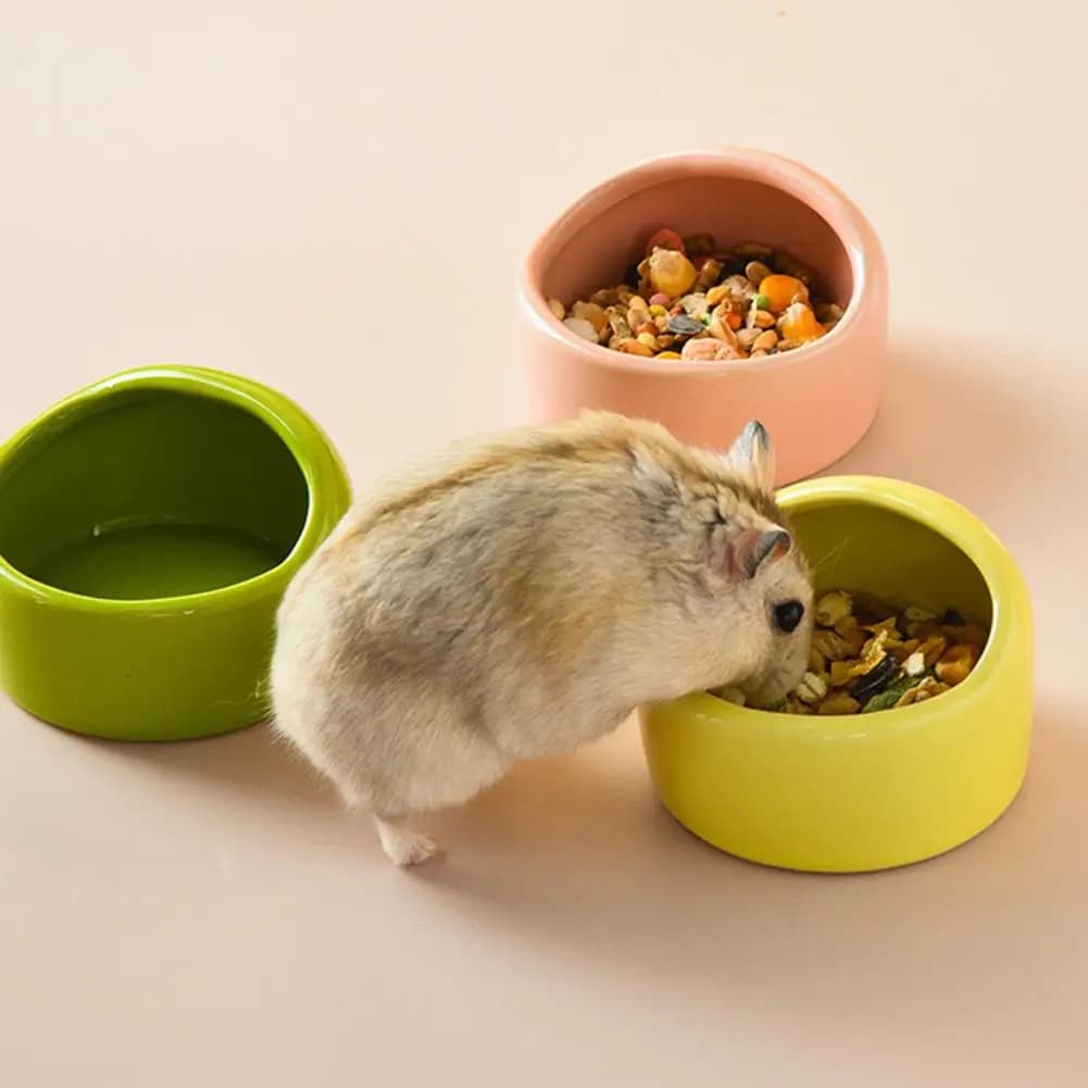 Ciotola per piccoli animali da 6 cm, ciotola per cibo e acqua per criceti, ciotola per l'alimentazione degli animali domestici, ciotola anti-ribaltamento per porcellini d'India, conigli, ricci, pappagalli