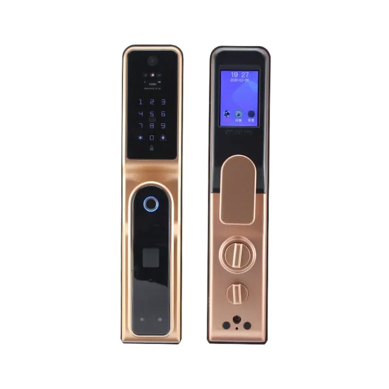 Serratura con password, serratura automatica per villa con impronta digitale, riconoscimento facciale 3D, porta in legno, serratura intelligente, speciale per villa