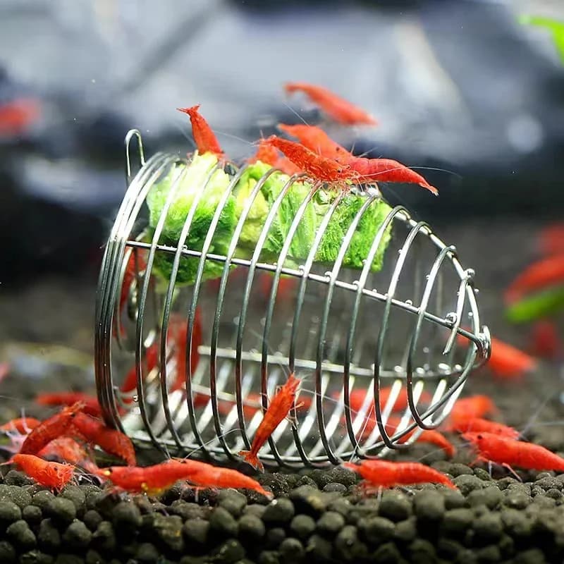 Stainless Steel Aquarium Small Fishing Esche Feeder Aquarius Crystal Shrimp Seeds Feeding Sand for Fishing bait Trap Basket