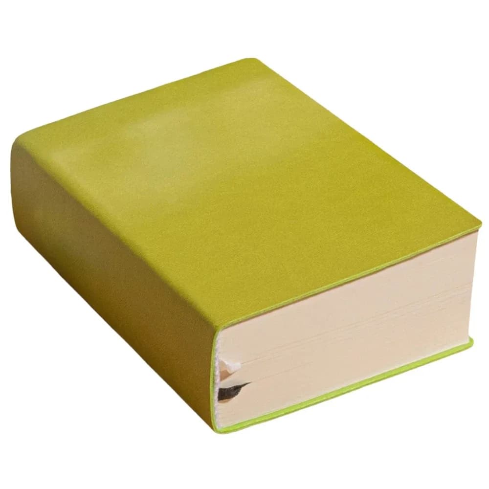 Agenda A6 per 365 giorni, agenda giornaliera, promemoria, efficienza, 720 pagine, materiale scolastico, organizer del tempo, elenco delle cose da fare