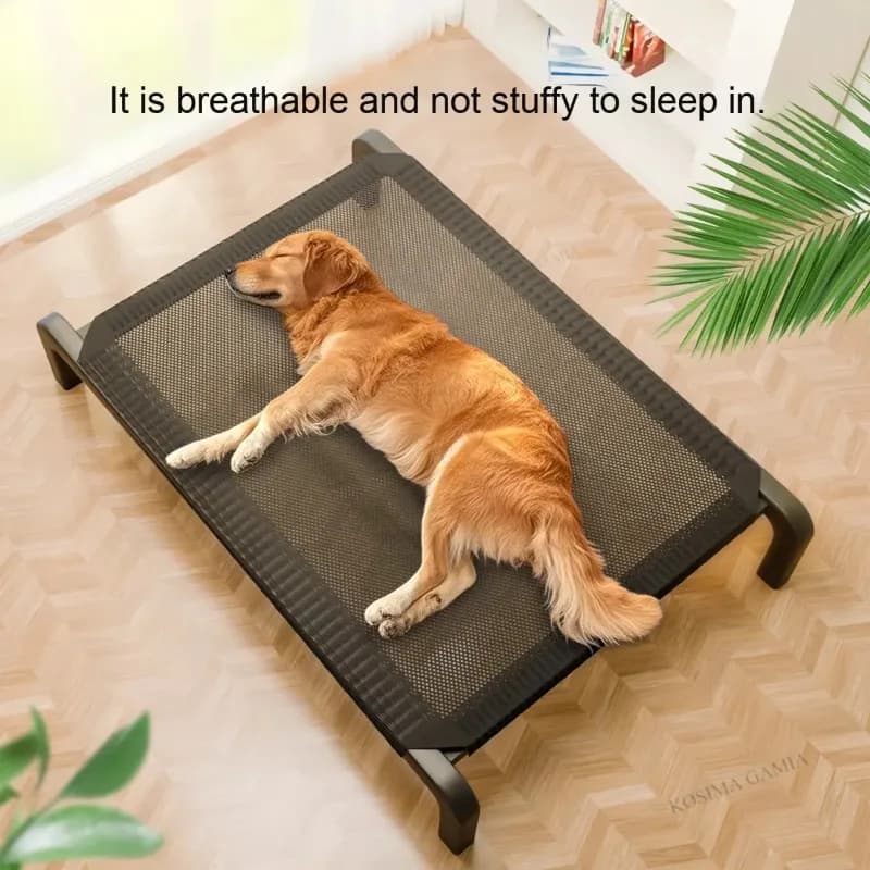 Cuccia Estiva per Cani, Letto Traspirante da Campeggio per Cani di Taglia Grande, Cuccia Rimovibile e Lavabile, Divano Letto per Animali Domestici, Tappetino Cuscino per Cani