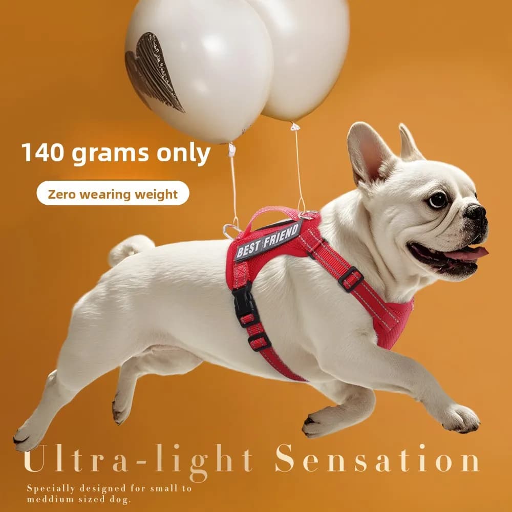 Nuova fascia toracica per cani, copertura per tutto il corpo, luminosa e riflettente, guinzaglio per cani con servizio in velcro