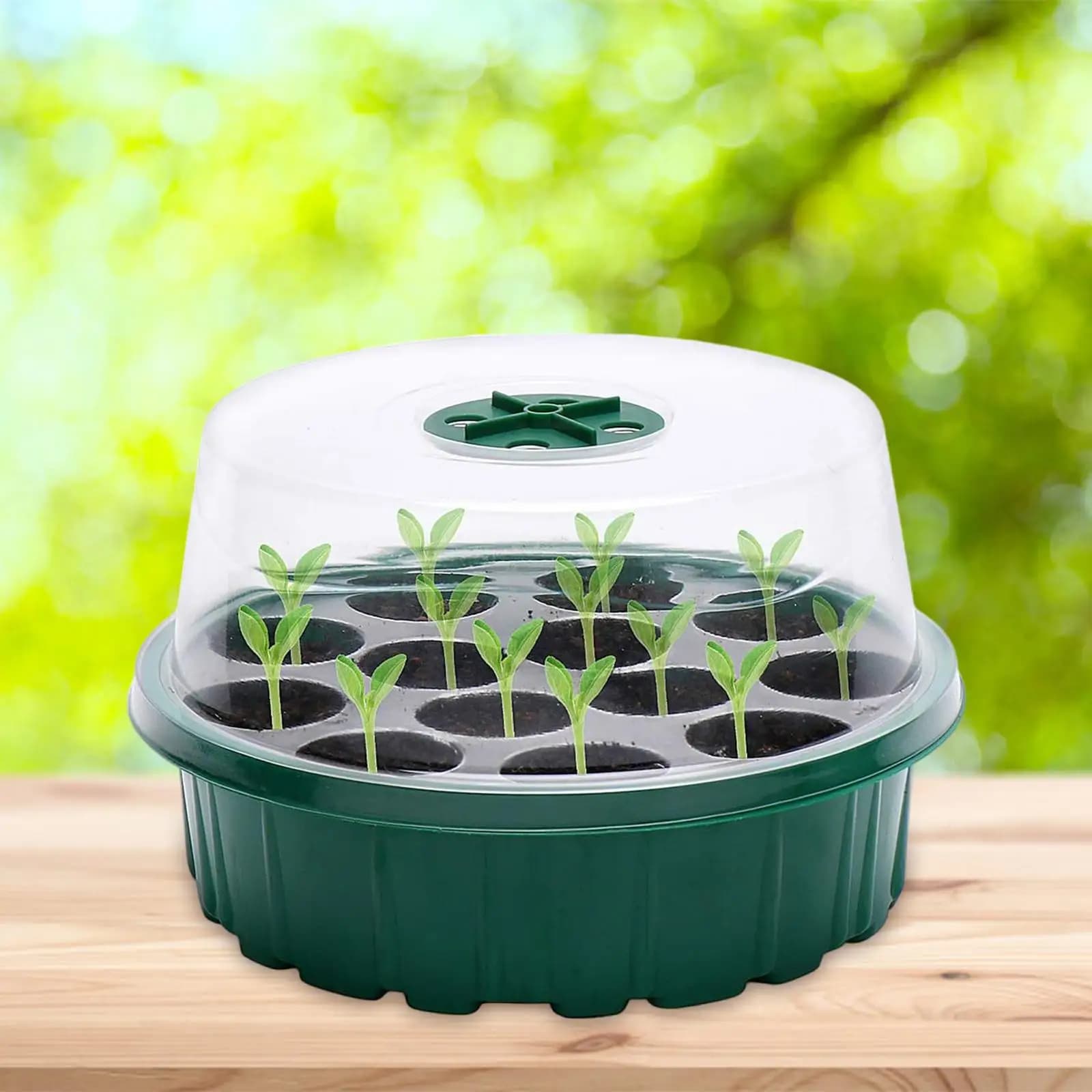 Starting tray kit for round seeds with ventilated lid Plastic seed tray for indoor potatoes, tomatoes and flower germination