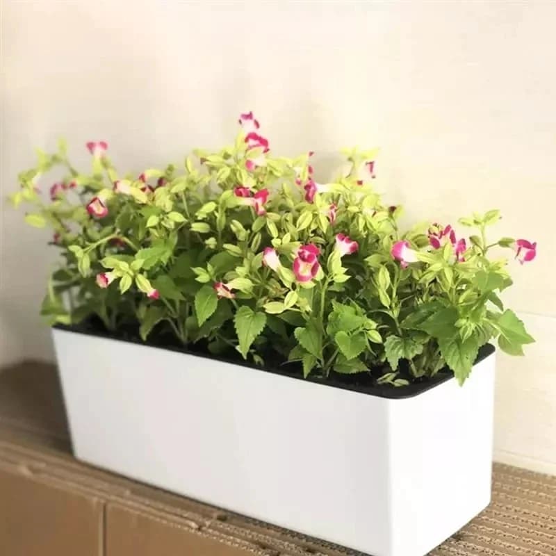 Rectangula Lazy Flower Pot Potted Hydroponic Plastic Flower Pot +Water Level Indicator Automatic Water Absorbing Flower Pot