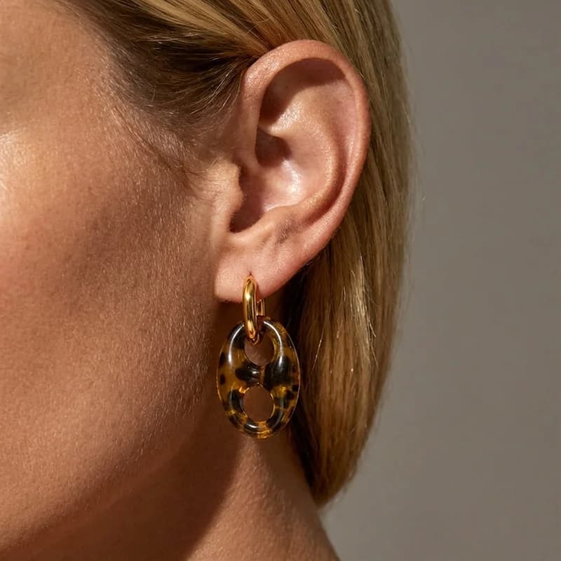 European and American Fashion Acrylic Original Design Hook Earrings Women 2026 New Stainless Steel Jewelry Earrings Accessories