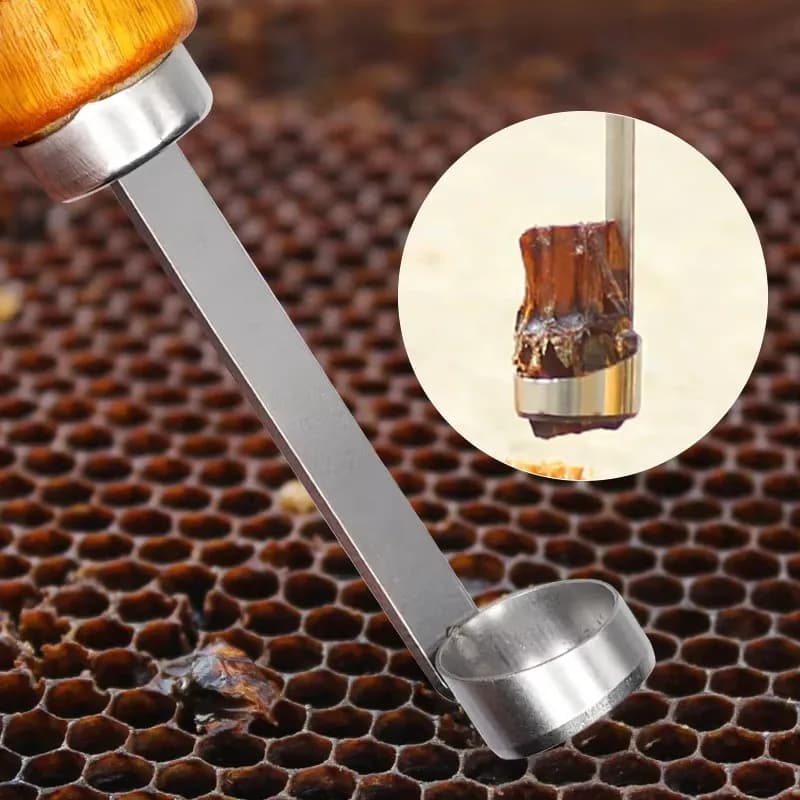 Beekeeping No-Graft Queen Rearing Kit Comb Foundation Cutter Queen Frame Cutter Extractor Cutting Tool Apiculture Equipment