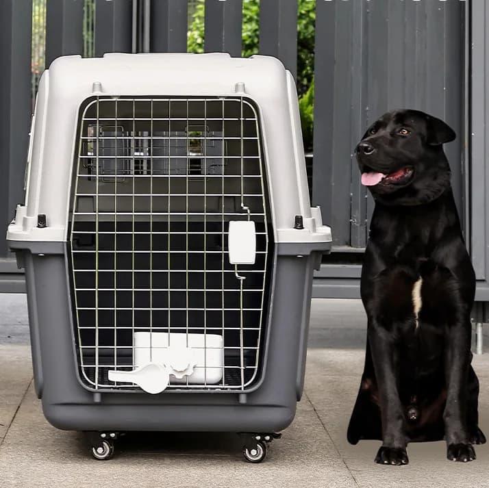 Trasportino per Cani da Auto, Gabbia da Viaggio per Animali Domestici, Box Omologato per Compagnie Aeree, Prodotti da Viaggio per Cani
