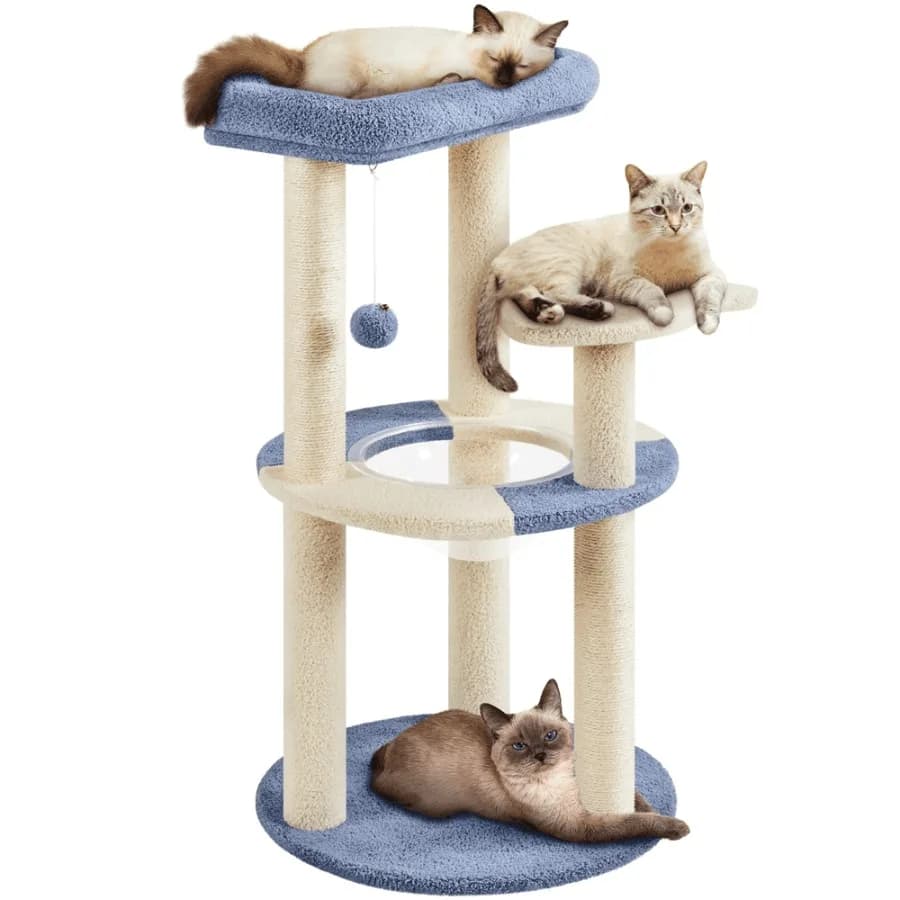 35.5″H Ocean Cat Tree with Padded Perch Natural Sisal for Kittens Blue Beige