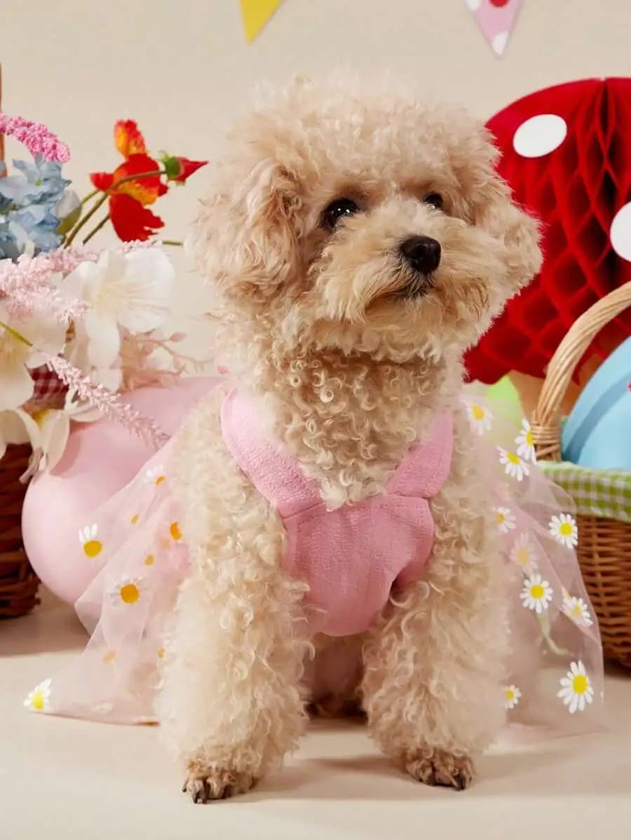 1 gonna in tulle rosa con fiocco e cinturino per pettorina, adatta per cani e gatti