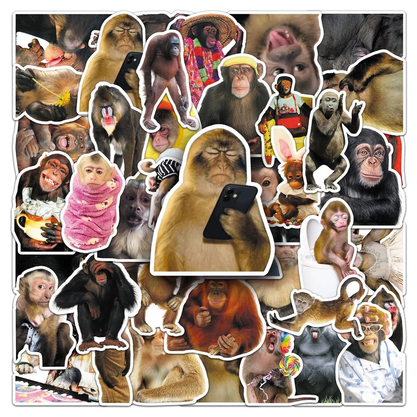 50 pezzi pazzo divertente scimmia e orangutan adesivi doodle decalcomanie impermeabili per cancelleria notebook casco moto valigia frigorifero