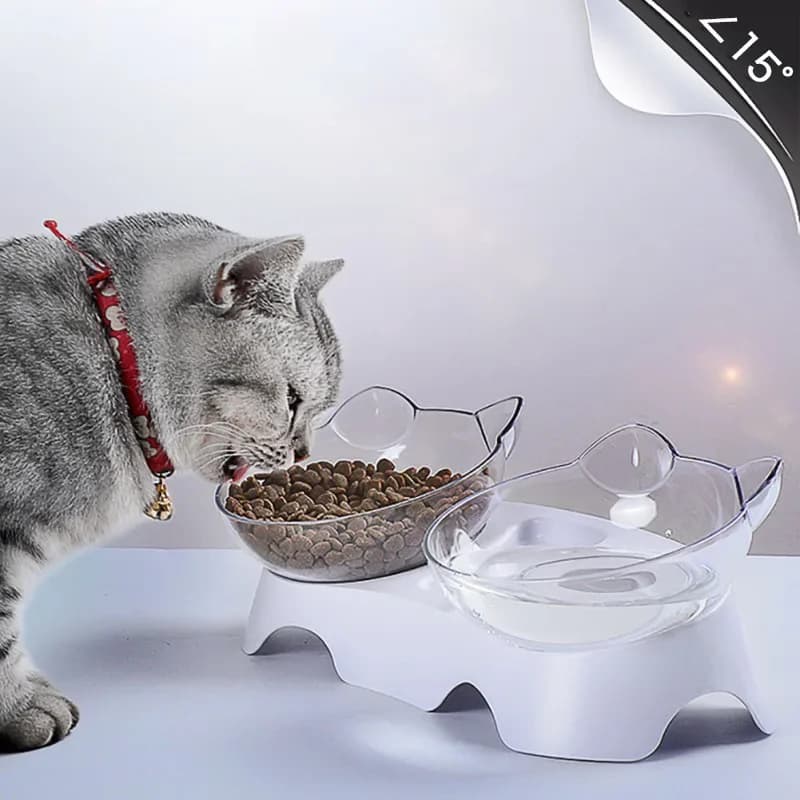Ciotola per gatti ciotola per cani ciotola doppia antiscivolo ciotola per animali domestici con supporto ciotola per acqua per cani e gatti trasparente accessori per gatti