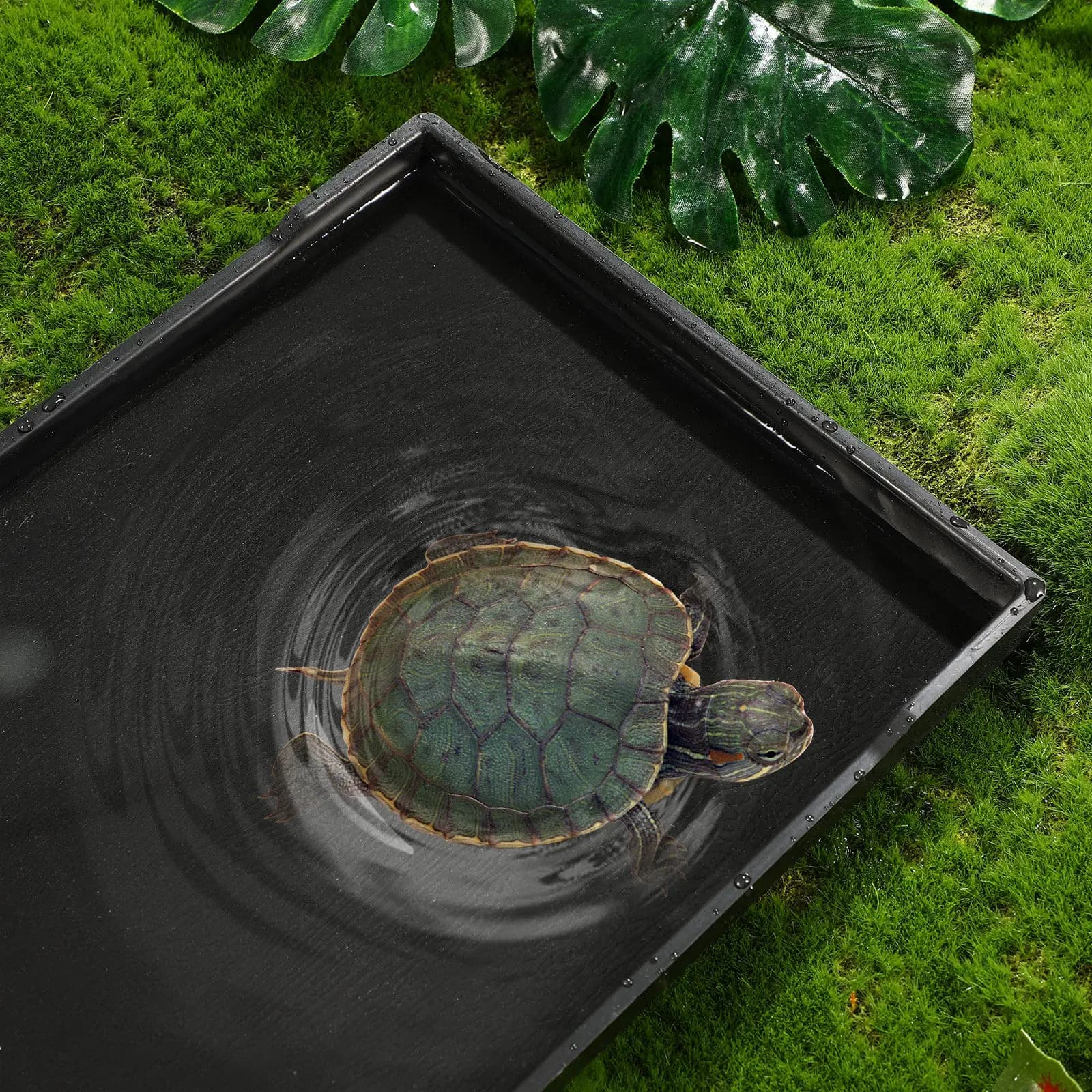 1Pcs Reptile Food Bowl Sturdy Tortoise Feeding Dish Convenient Shallow Dish Lizard Pet Accessories