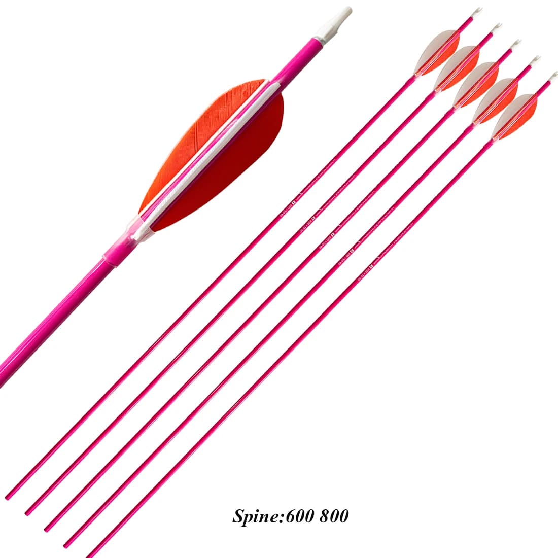 Tiro con l'arco Freccia in carbonio Spine600, 800, 80GR Punto, Piuma di tacchino da 3 pollici, Tiro con l'arco da caccia, 12 pezzi