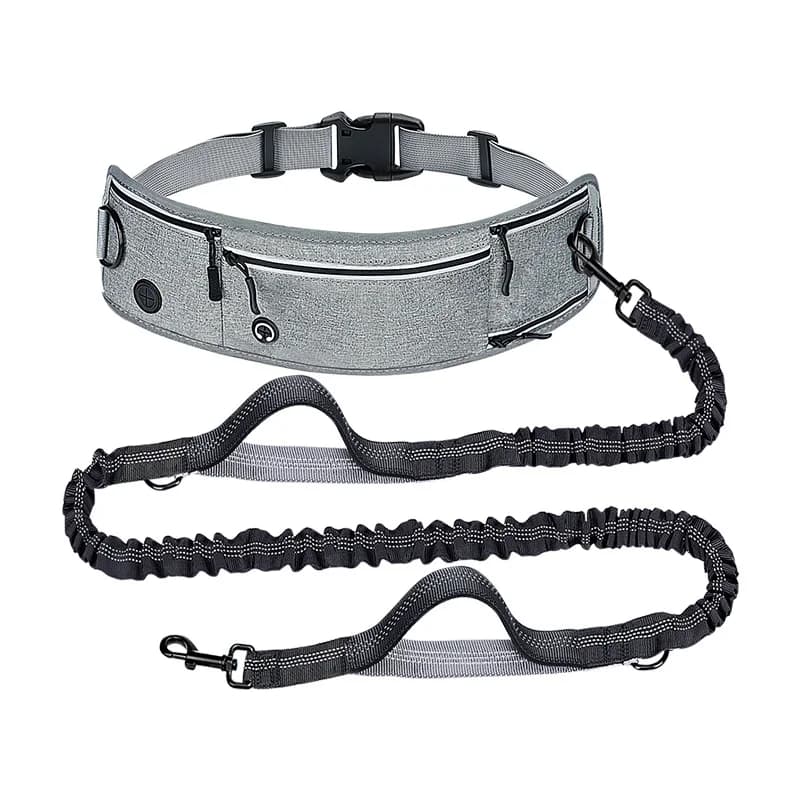 Anti-Burst Nylon Reflective Retractable Pet Leash with Sports Waist Bag, Multifunctional Dog Running & Walking Leash