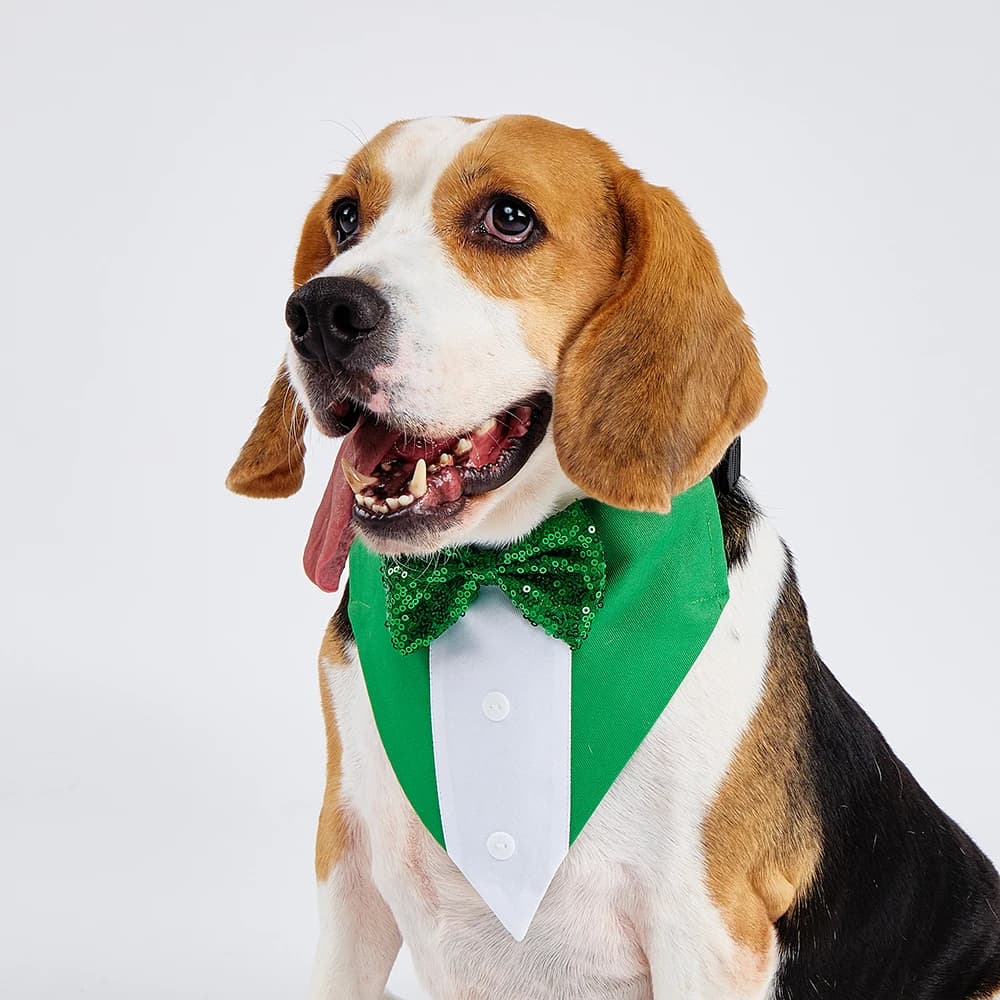 St.Patrick's Day Dog Costume Puppy Bandana Green Bow Tie Adjustable Collar Pet Scarf Formal Tux Clothes Dog Tuxedo Bandana