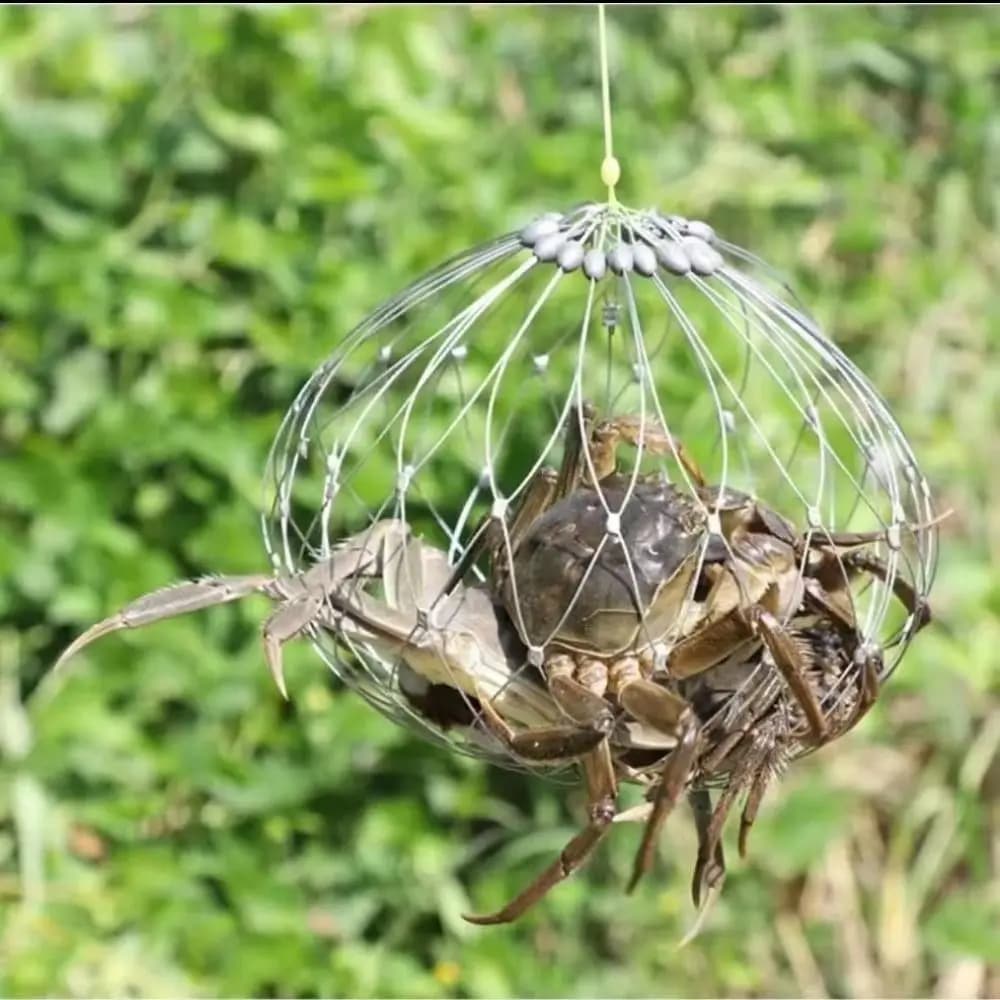 Rete per trappole per granchi da pesca con design pieghevole automatico, gabbia per rete da pesca con chiusura automatica in filo d'acciaio, facile da usare