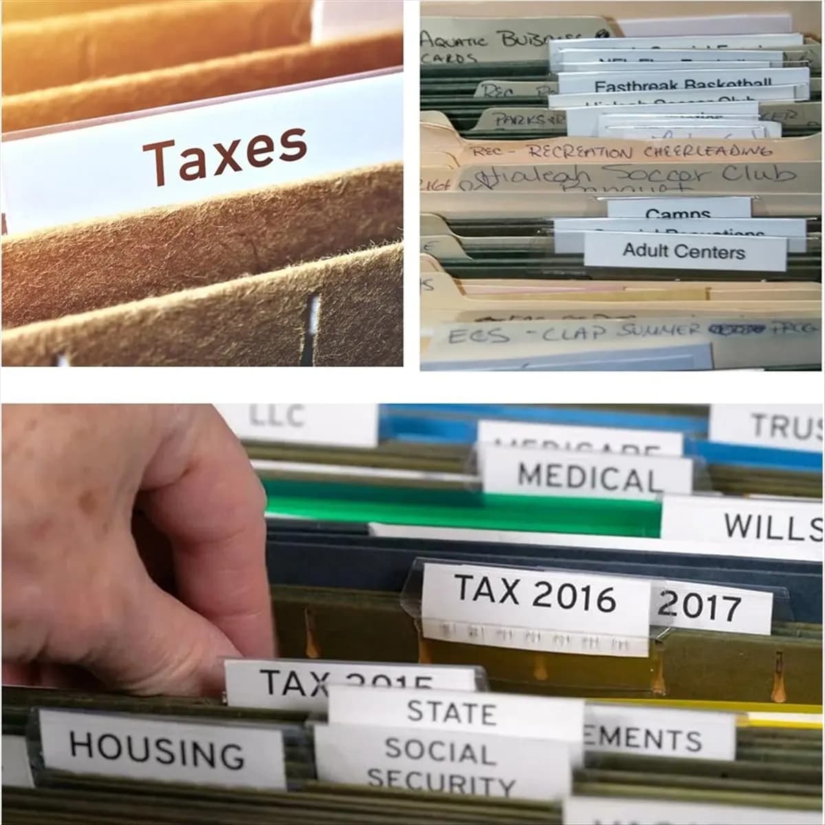 BHBL 50 etichette per cartelle sospese con 50 inserti, 2 pollici, per etichette per cartelle sospese, etichette per cartelle sospese A