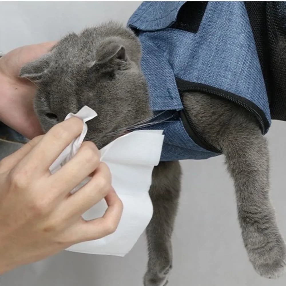 Borsa Trasportino Pieghevole Morbida in Rete Traspirante per Gatti, Anti-graffio, Comoda per il Bagno e la Toelettatura degli Animali Domestici