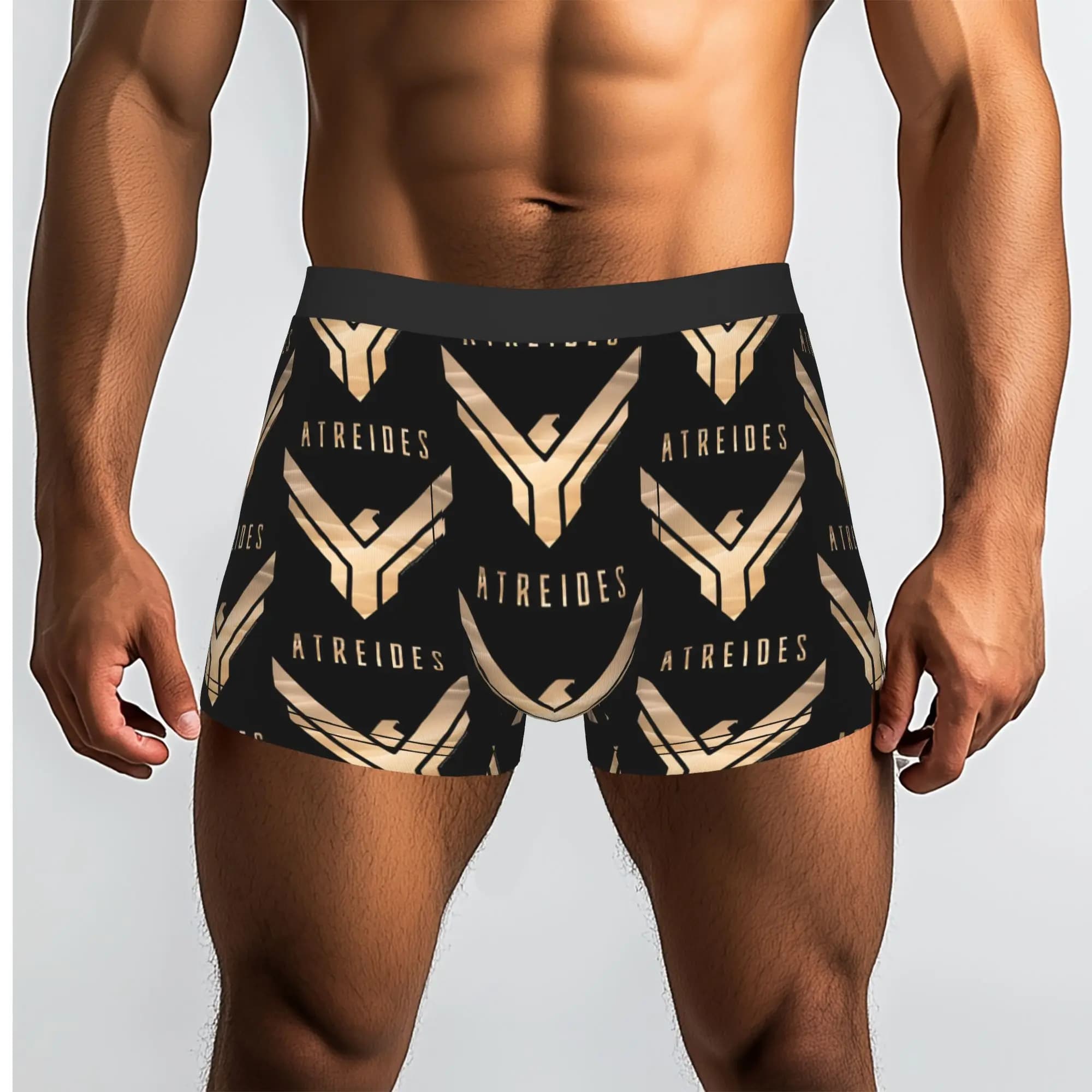 House Atreides Symbol DUNE Mutande traspiranti Mutande da uomo Pantaloncini stampati Boxer Briefs